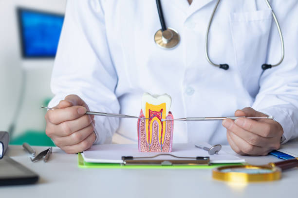 Best Emergency Broken Tooth Repair in Ocean Springs, MS
